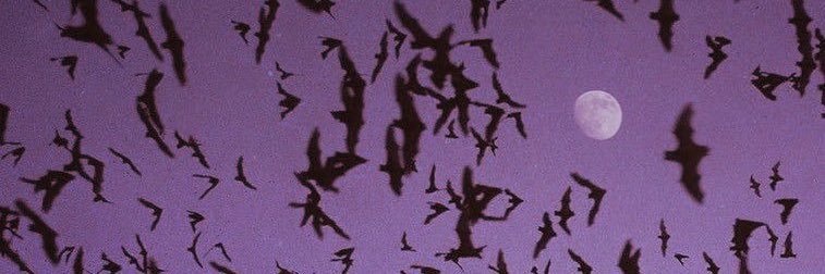 minuteofdecay_'s profile banner image