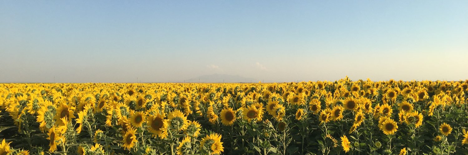 dr_haluk yaka banner