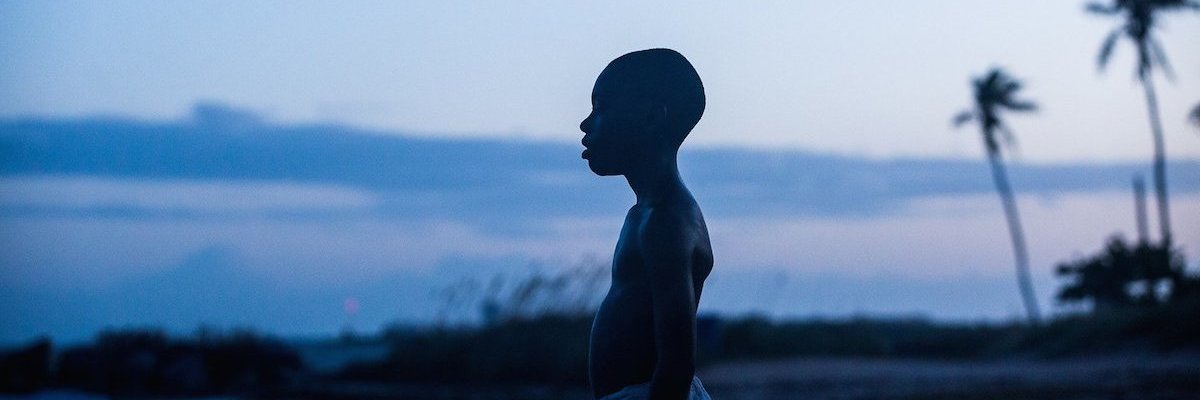 dominick argana banner