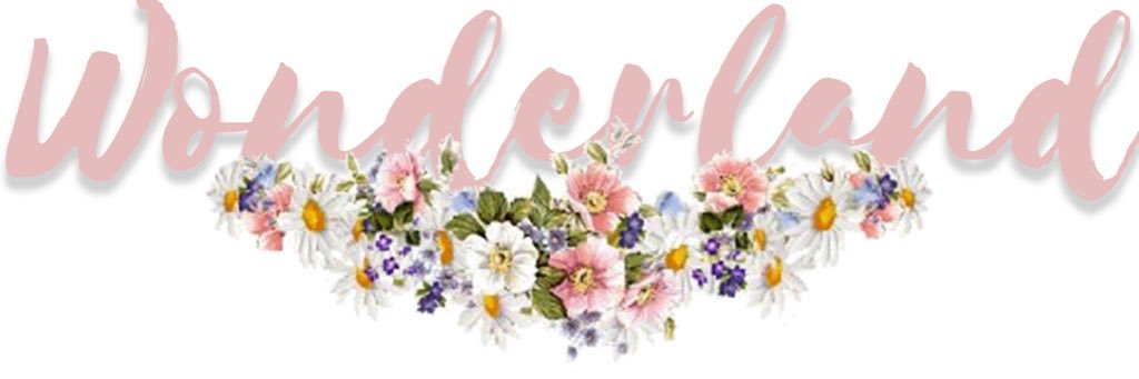 wndrlnd_exhibit's profile banner image