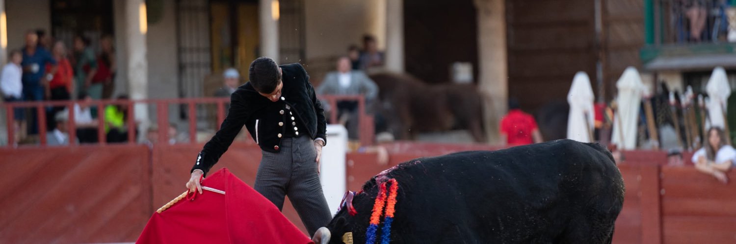 Rafael de Julia banner