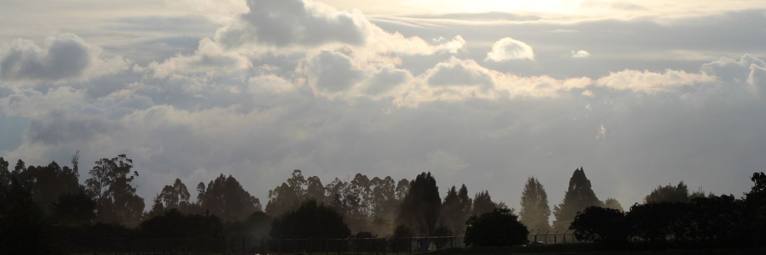 MAN6s's profile banner image