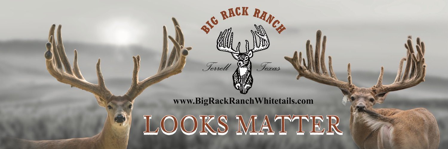 Big Rack Ranch banner
