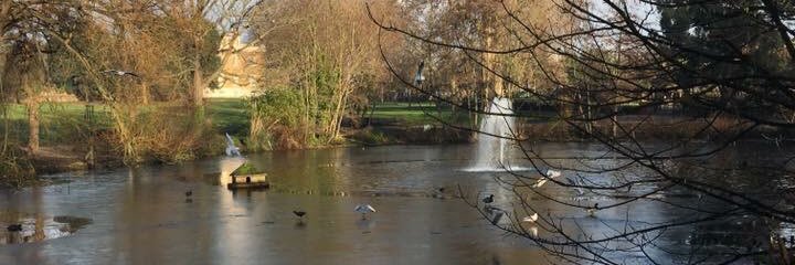 Manor House Gardens banner