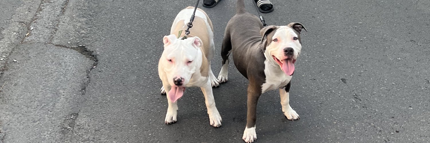 MagzReacts⚡️ banner