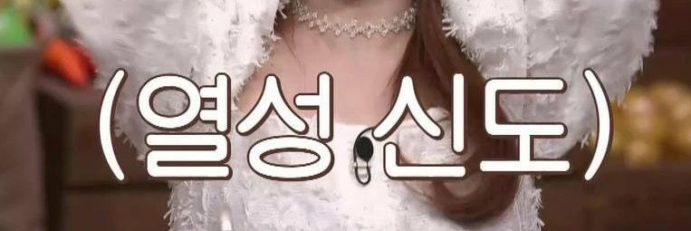 뉴냥이(상태:여자좋음) banner