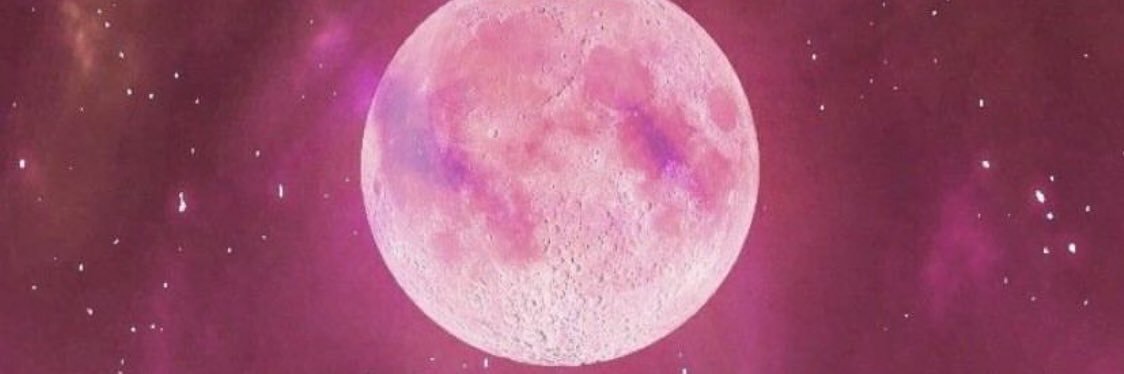 lais_beredaa's profile banner image