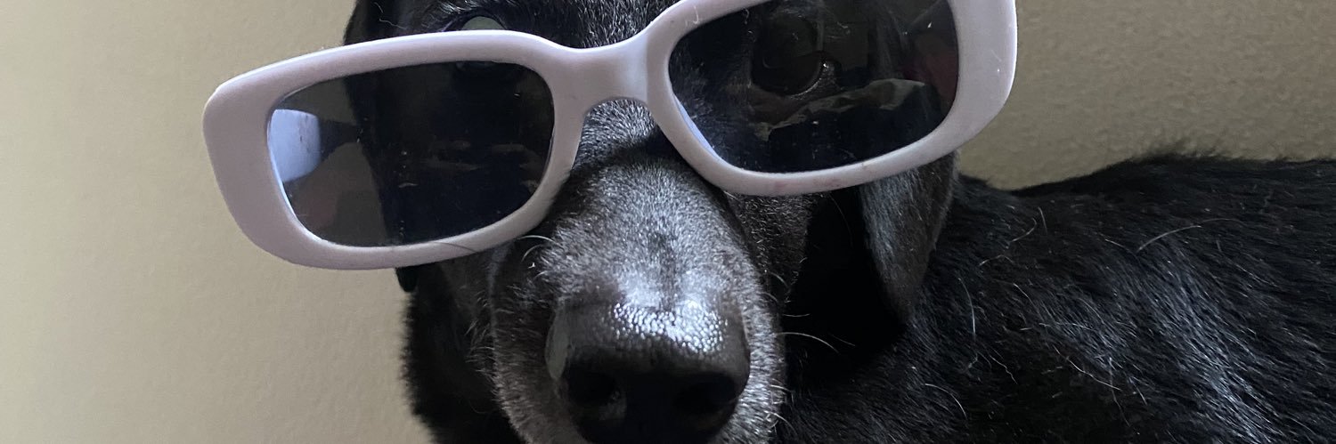 Lucasoffredii's profile banner image