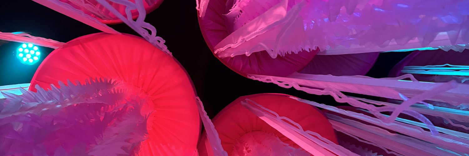 Strauu's profile banner image