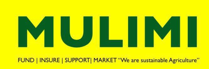 Queenmulimi's profile banner image