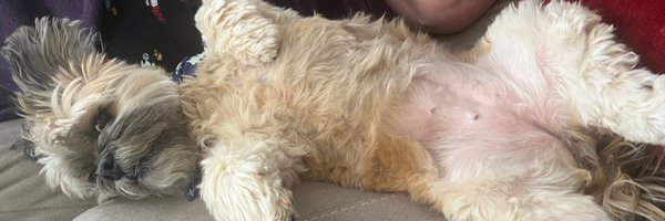 Damion_ST Profile Banner