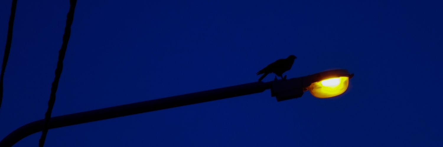 Nacho_ibires's profile banner image
