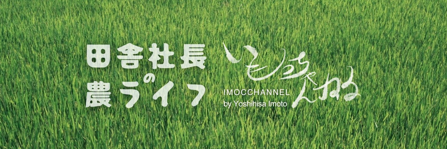 imocchan's profile banner image