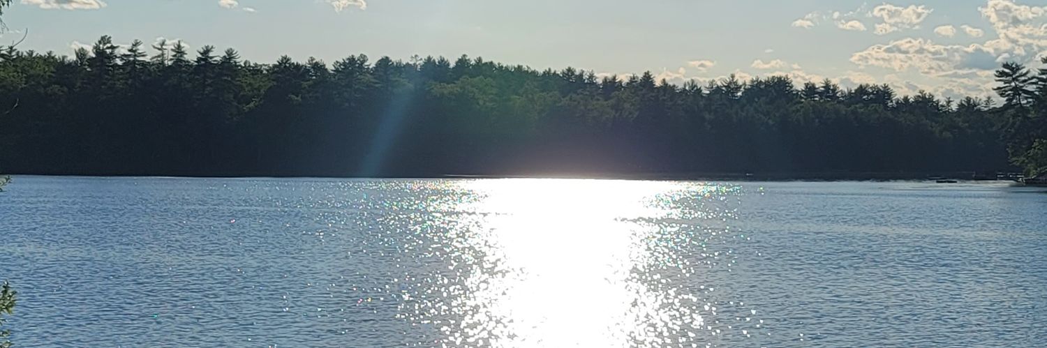 btcbearhunter's profile banner image