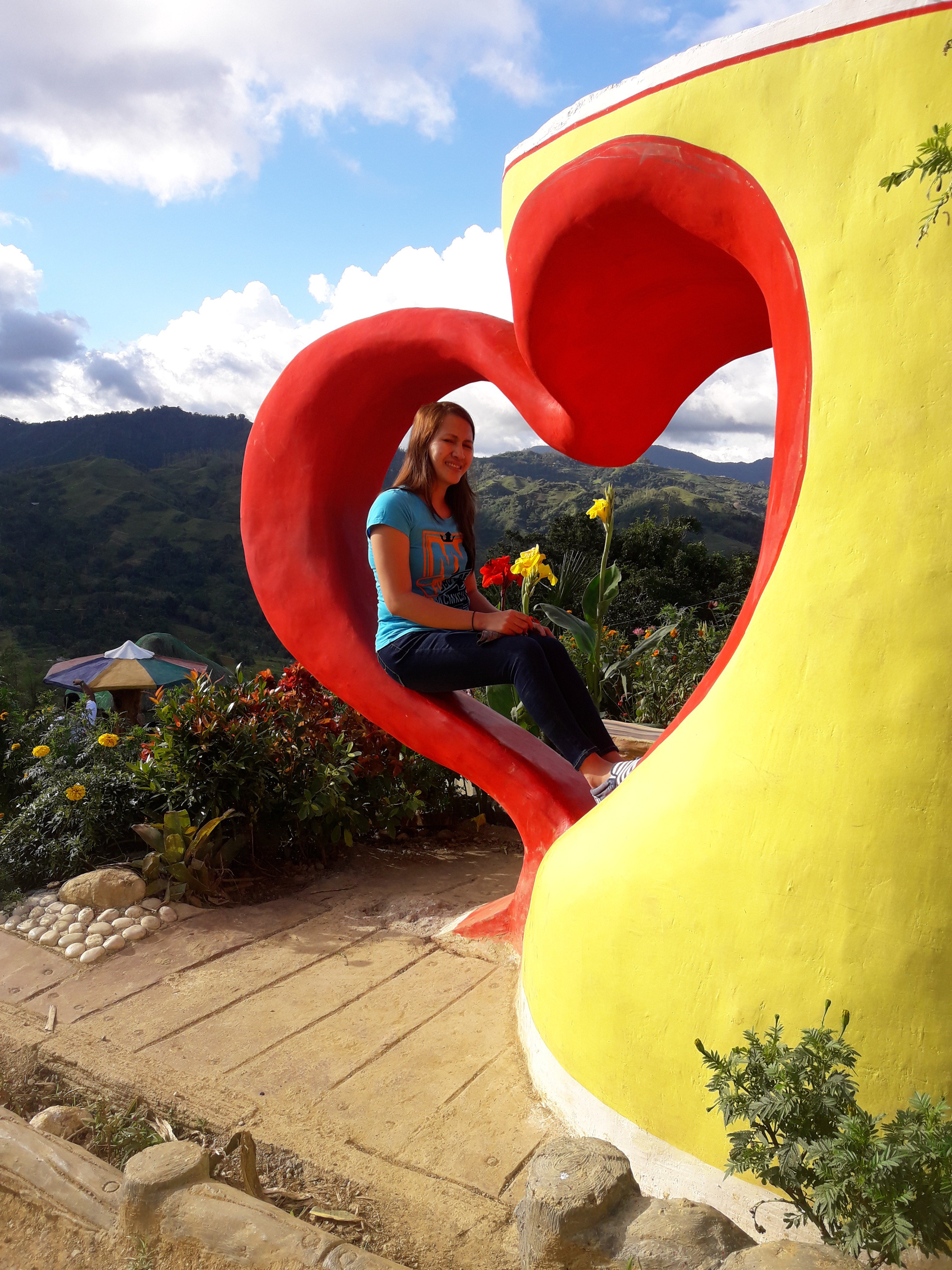 flor_lim86's profile banner image