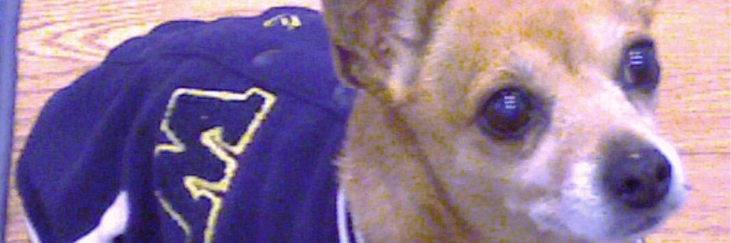 moorwinski's profile banner image