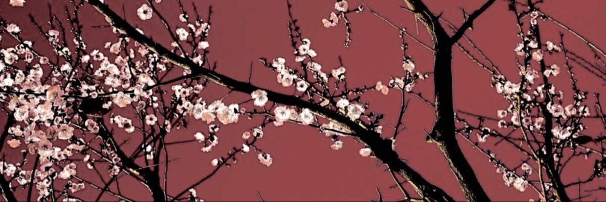 Master Mul 🖤 banner