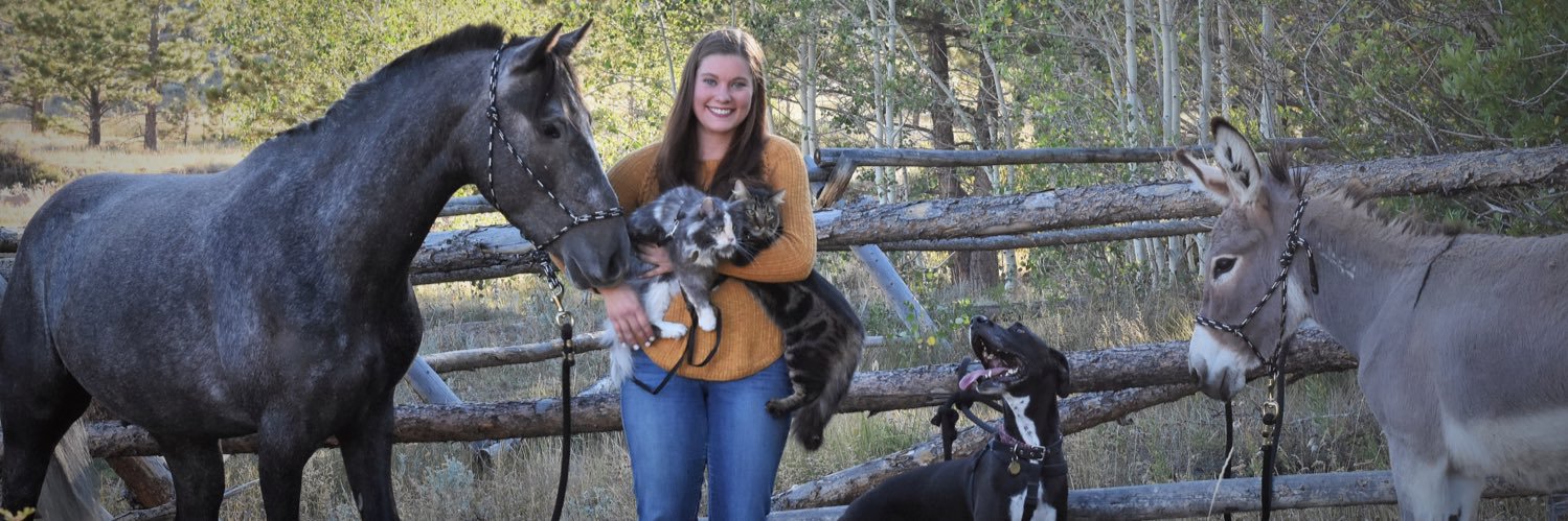 LindsayRinner's profile banner image