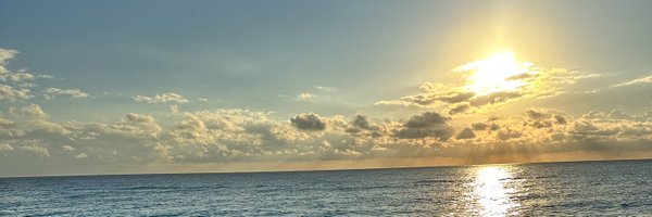 Adanne Profile Banner