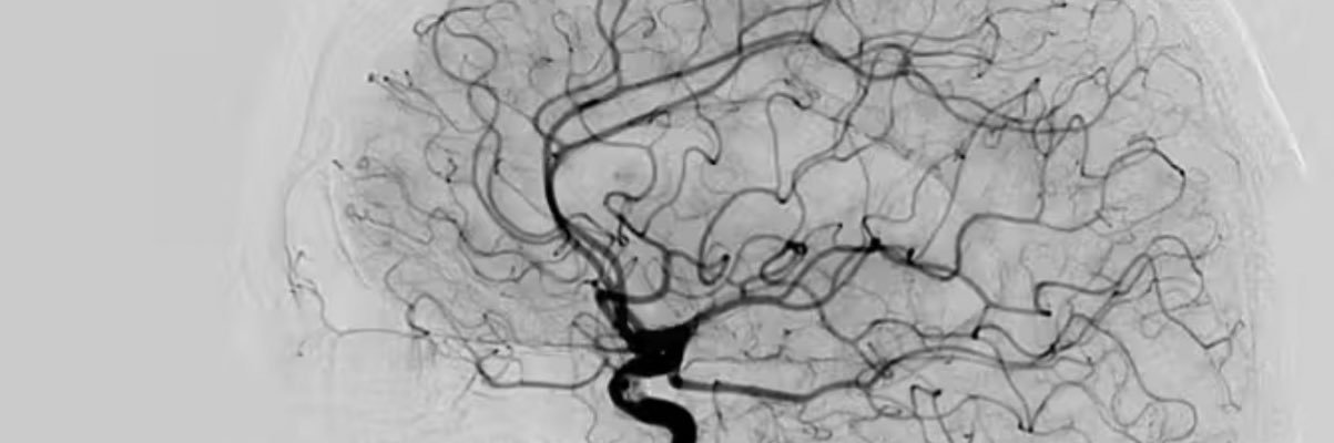 Stephen English MD, MBA banner