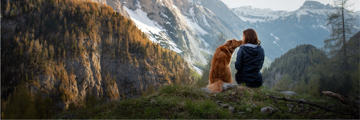 CSS Pension Plan banner