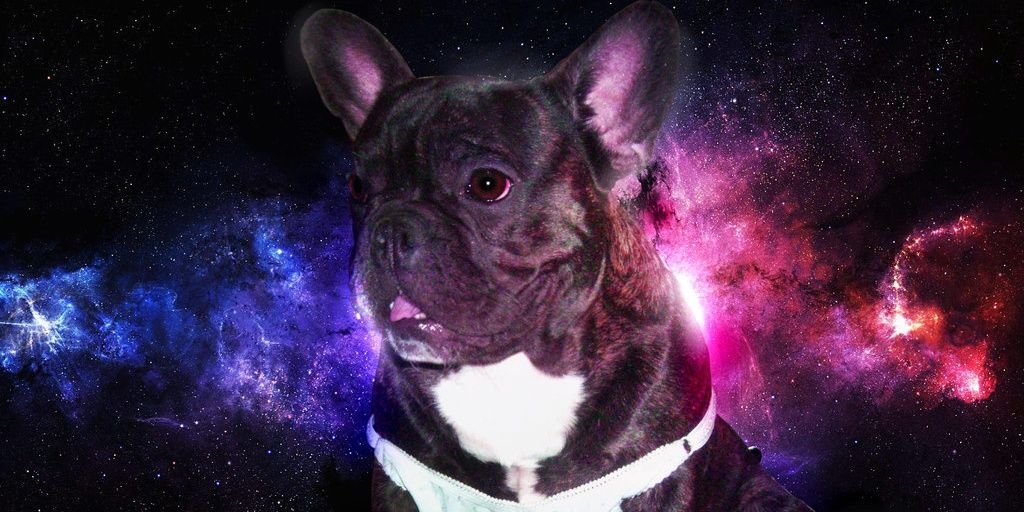 L__J_E's profile banner image