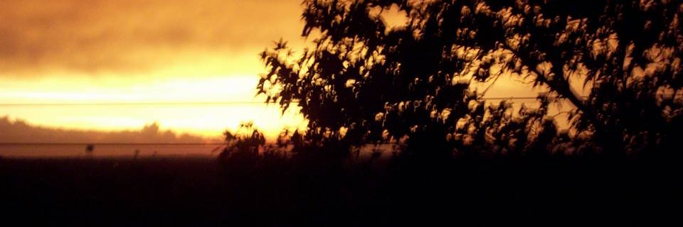ChristianHuskey's profile banner image