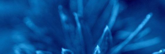 blbl1434's profile banner image