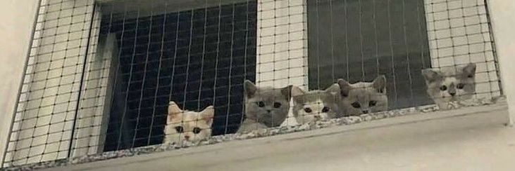 Luufr03's profile banner image