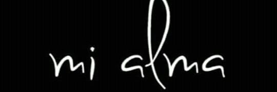 Mercedes Godoy banner