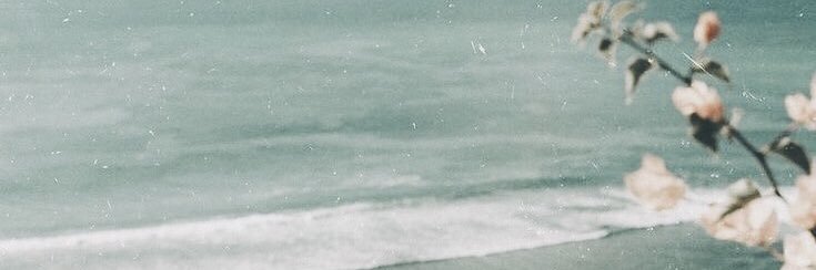divatefiena's profile banner image