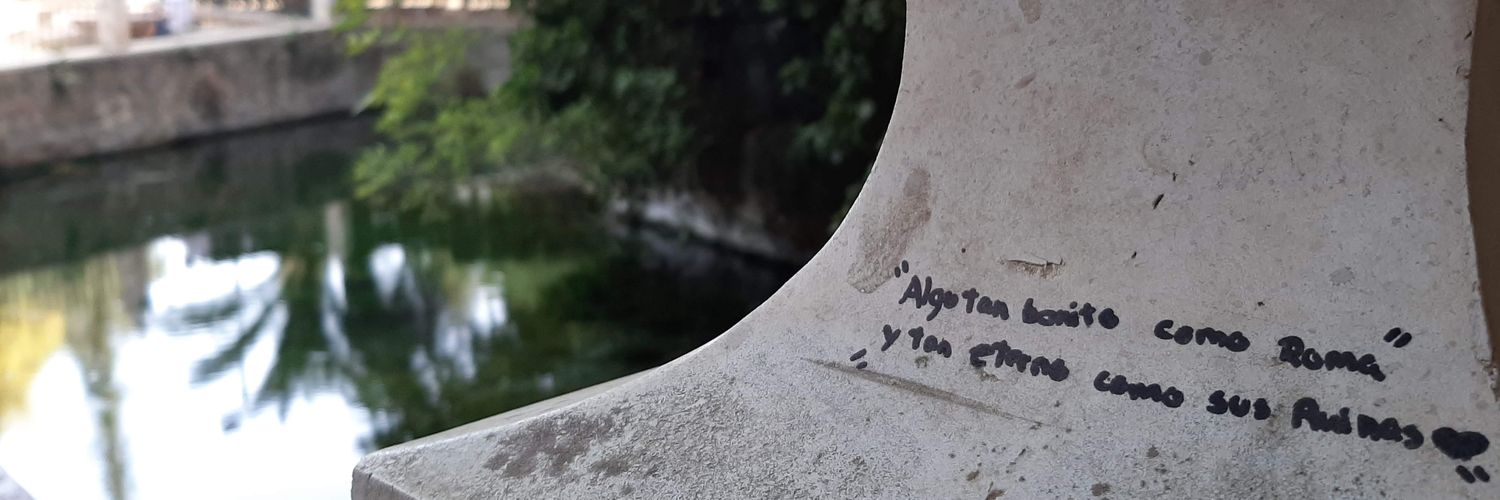MariamCastro99's profile banner image