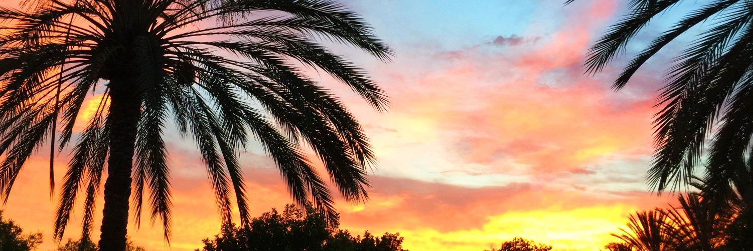 blairfarley's profile banner image