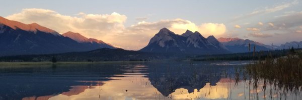 Mr_TOlson Profile Banner