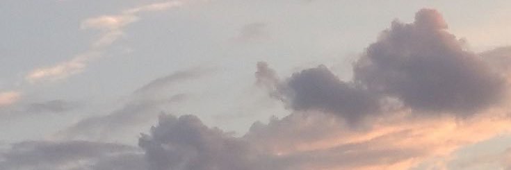 🌻 banner