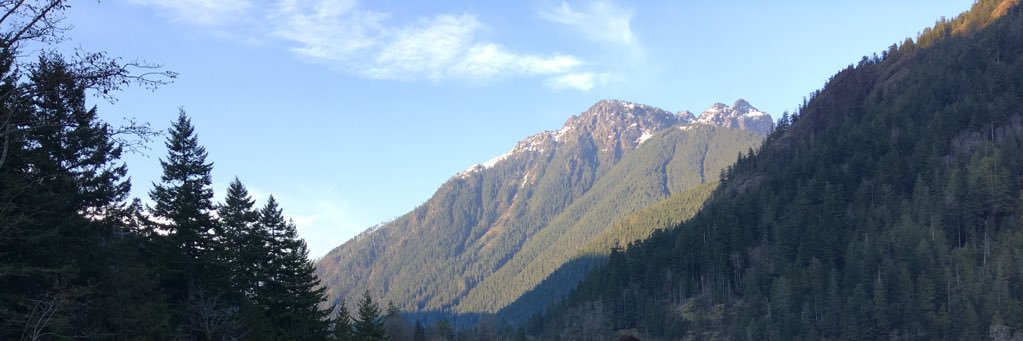 Abolish Prisons 🇵🇸 banner