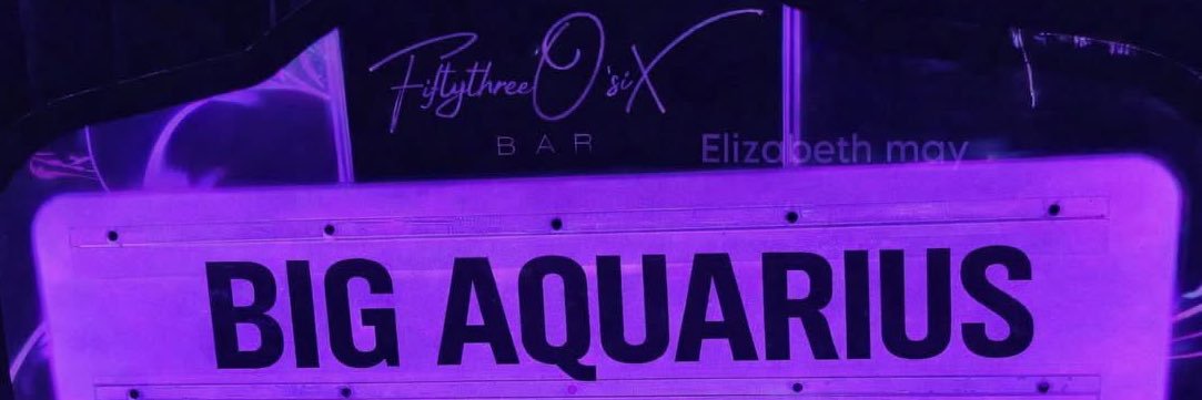 daydaybigghead banner