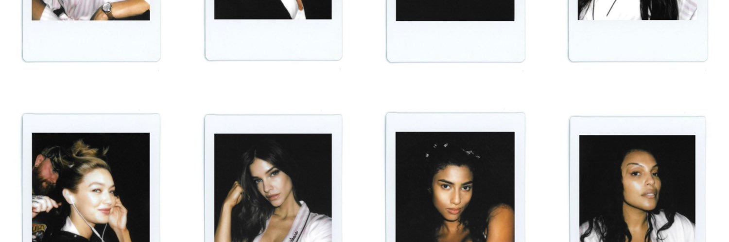 flavia banner