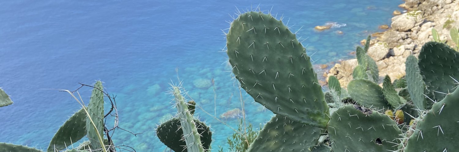 PSalutij's profile banner image