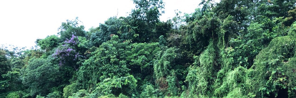 InggiMashudi's profile banner image