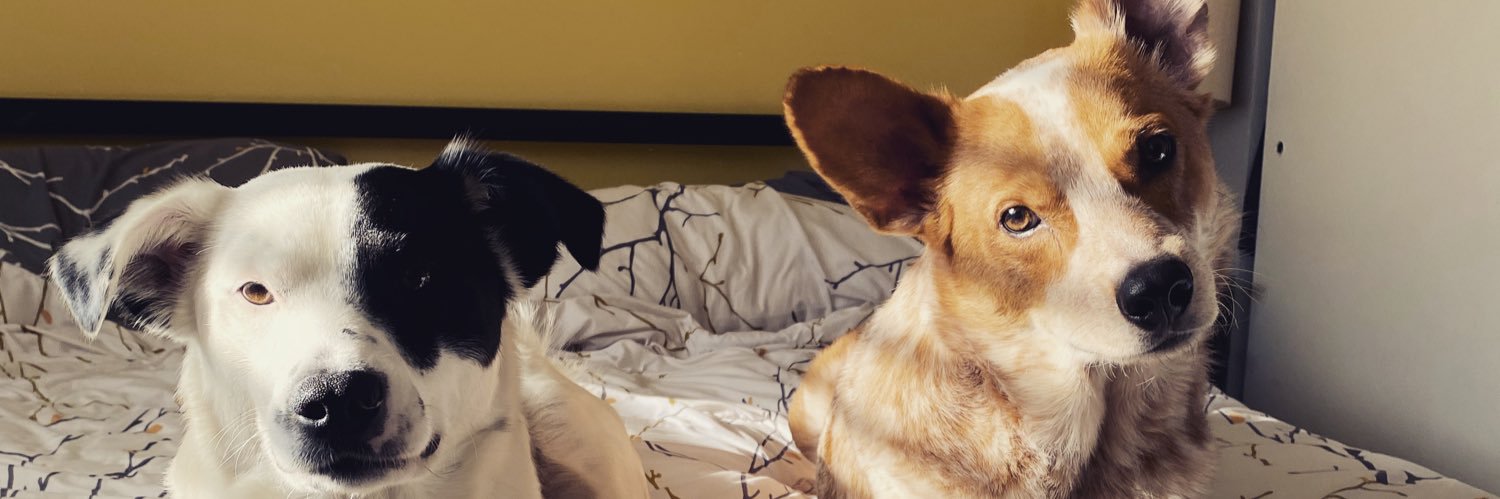 HelloJolene23's profile banner image