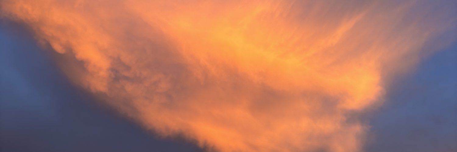 Vio✨👩‍🦰 banner