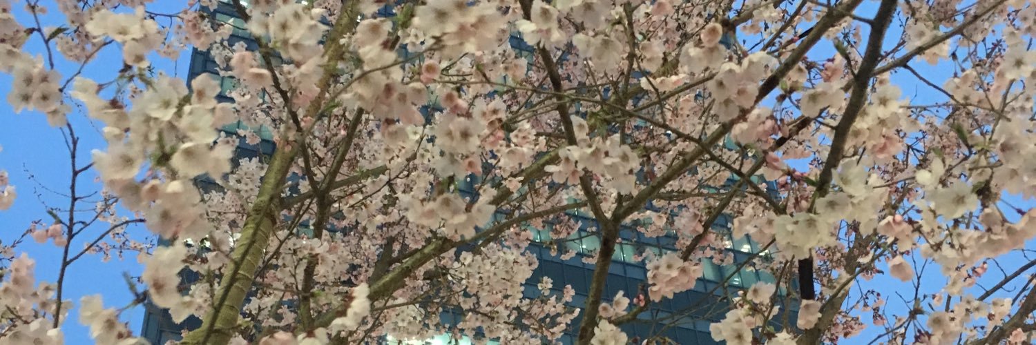 merylind's profile banner image