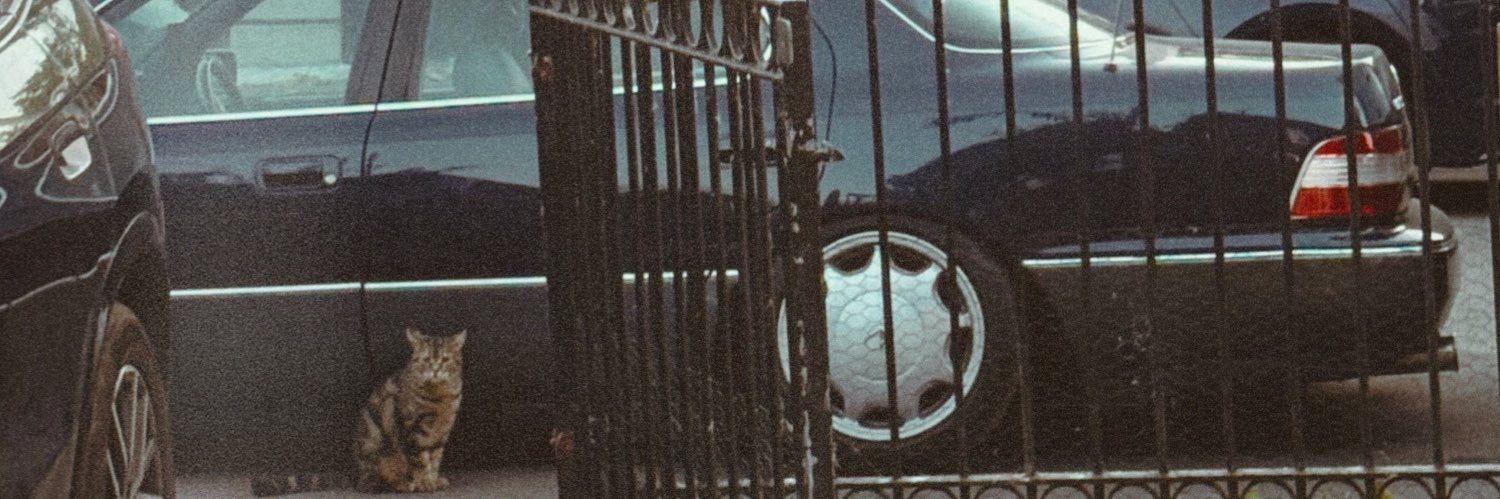 svbbii's profile banner image