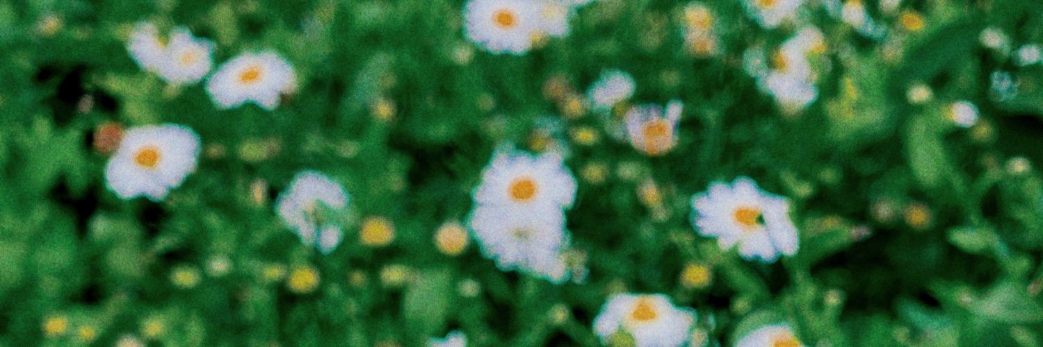 🍀𝕠𝕠𝕜ᶰ banner