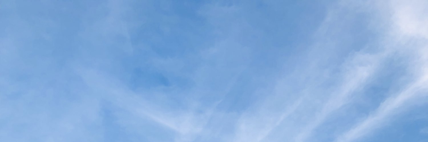 catandenmatten's profile banner image