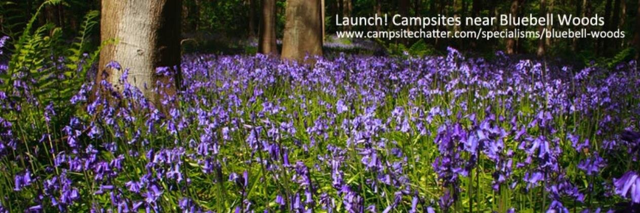 CampsiteChatter's profile banner image