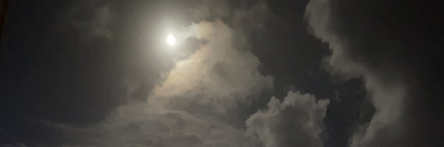 Bungo_BALLS's profile banner image