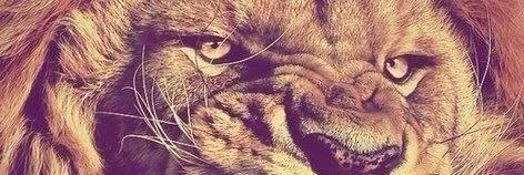 stasya_Postnova's profile banner image