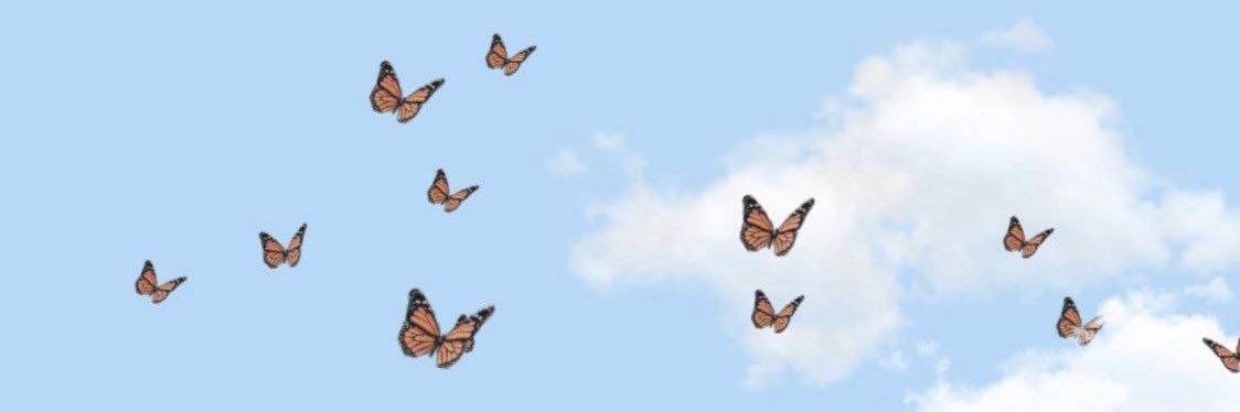 arelisrodd's profile banner image